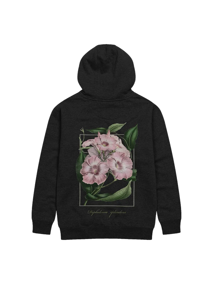 Dipladenia splendens - Premium Adult Unisex Hoodie product image (1)