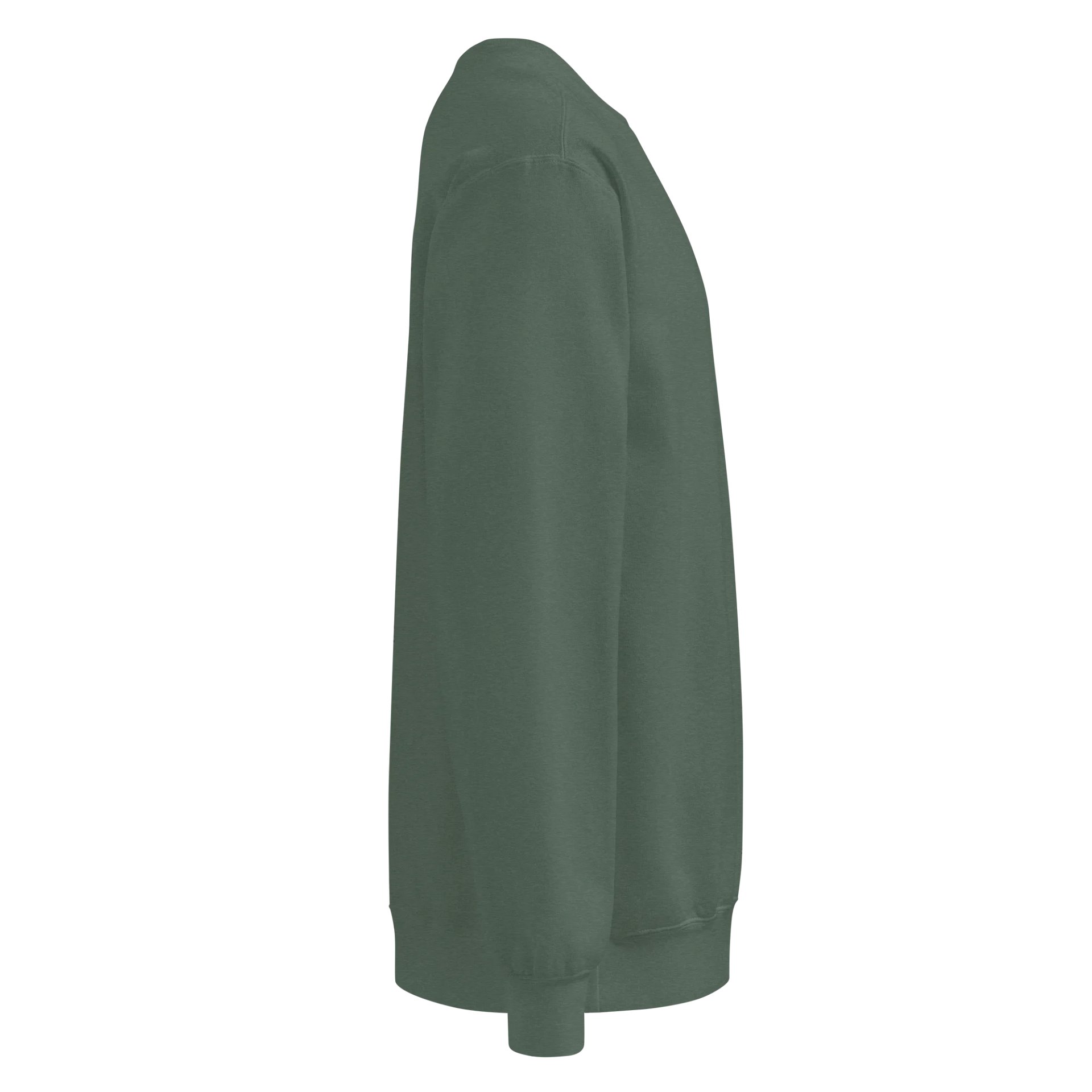 sd Sweatshirt 1 product image (15)