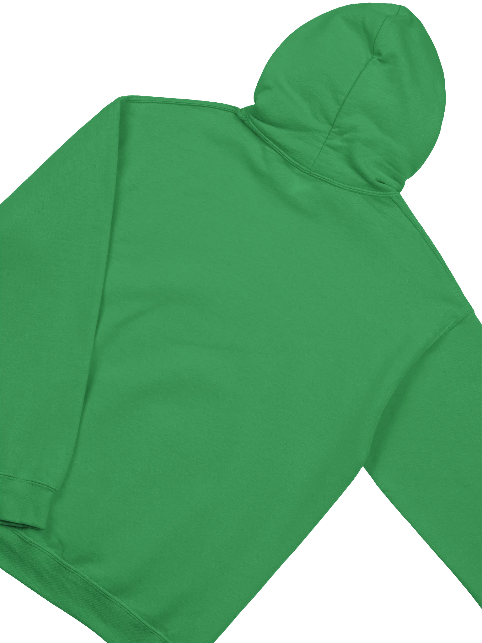 FWS Hoodie product image (4)