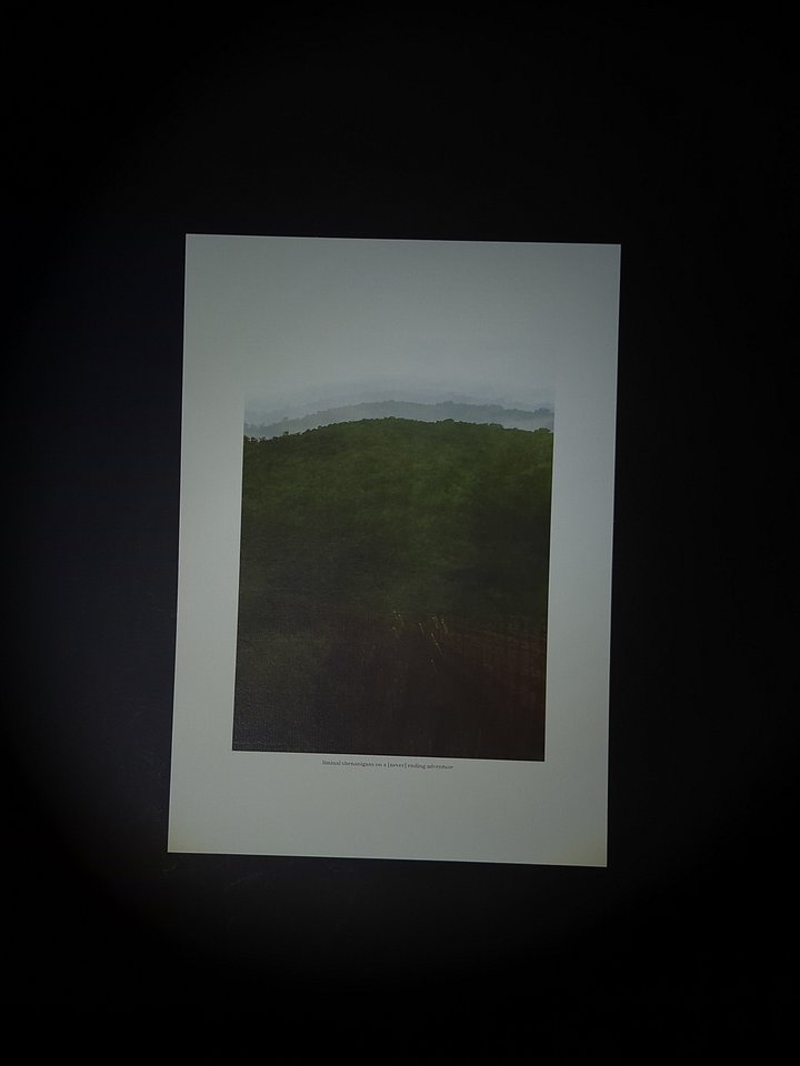 liminal shenanigans on a [never] ending adventure product image (2)