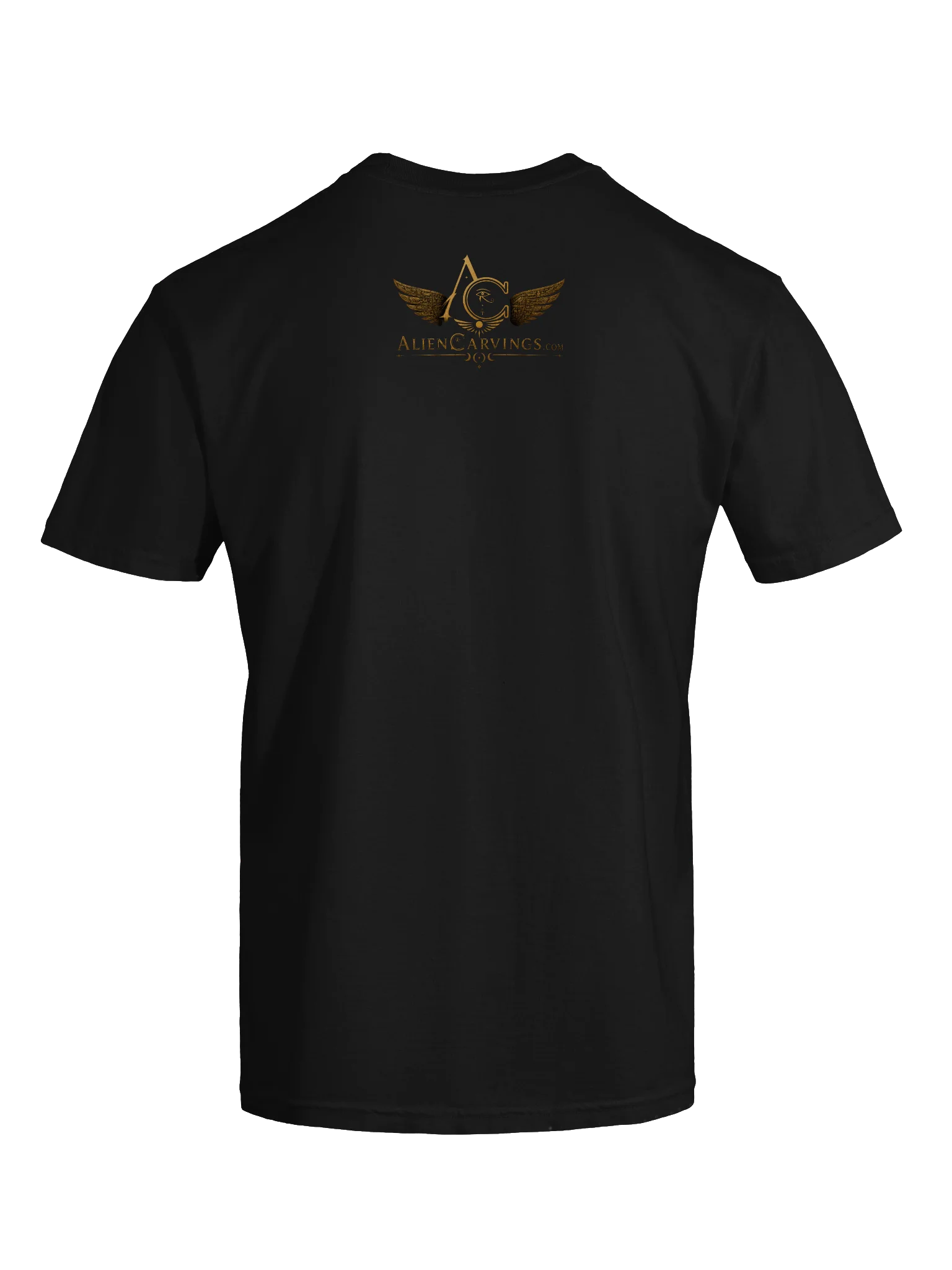Order and Judgement Premium T-Shirt product image (7)