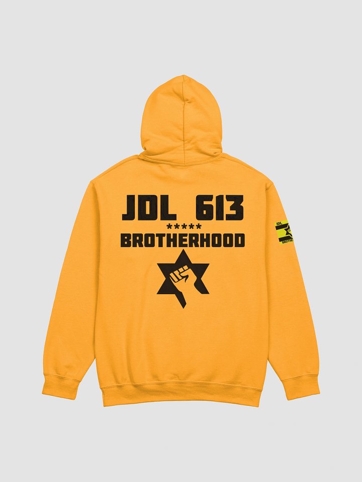 Kahane Was Right Stylized Hoodie product image (2)