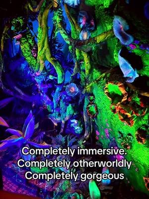 Pandora - An otherworldly escape inside Animal Kingdom read more at storiestakeus.com #wdw #ak #traveltok #storytelling #fyp