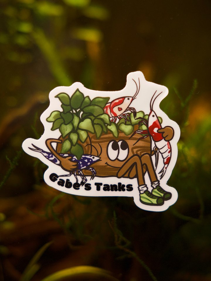 Friendly Log Sticker product image (1)