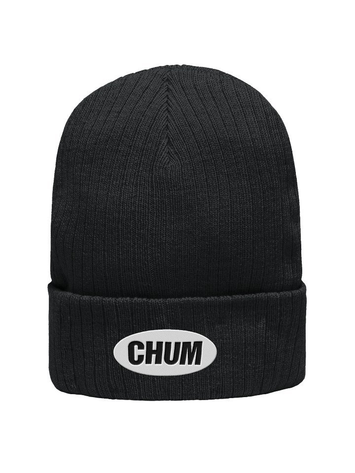 Oval logo cuffed beanie product image (1)