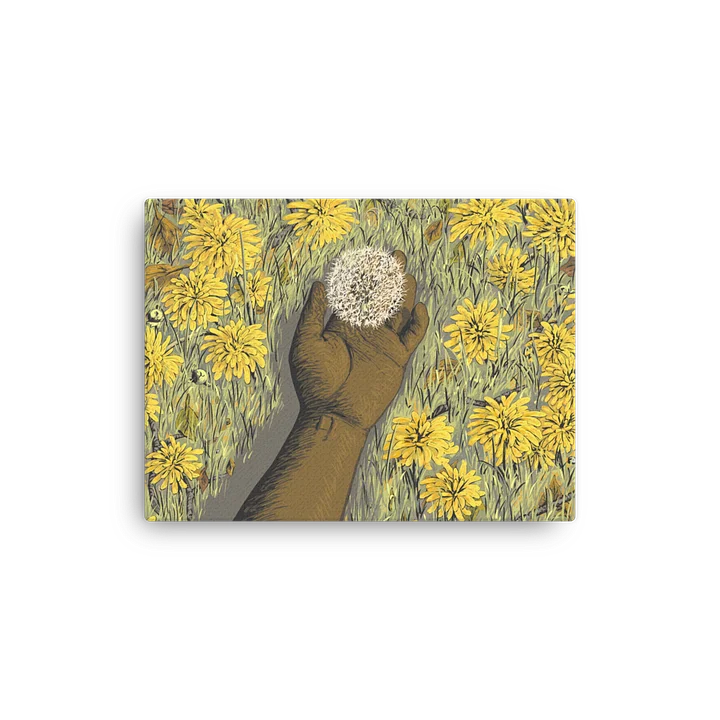 Thin Canvas Print: Dandelion product image (1)