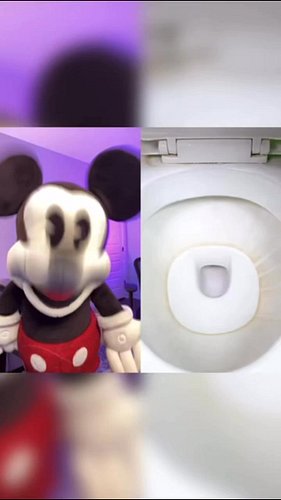 How to keep a toilet clean #comedy #funny #mickey #mickeymouse #hassankhadair