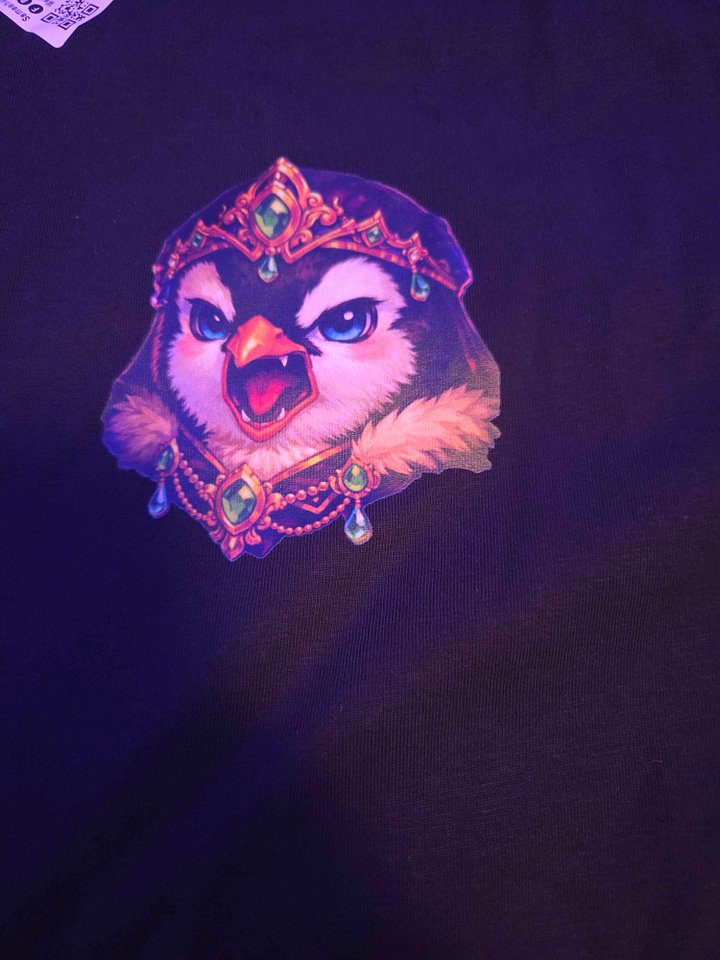 Kingdoms Royal Advisor Organic Tee product image (2)