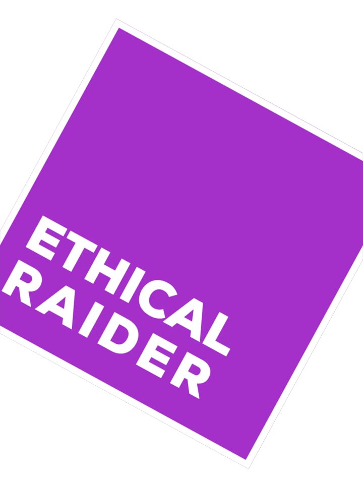 Ethical Raider (DH Purple) Sticker product image (3)