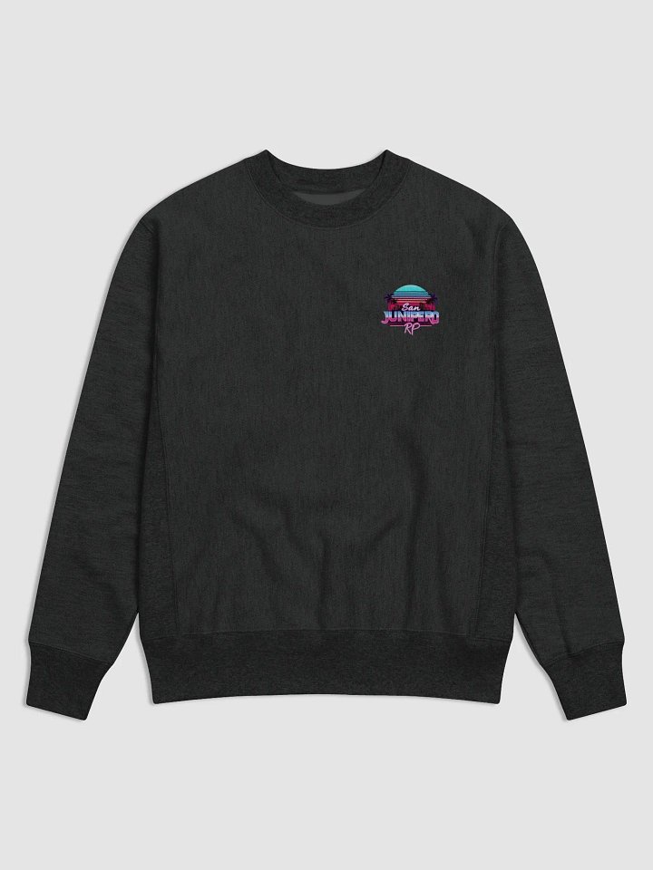 SJRP Printed Sweater product image (1)