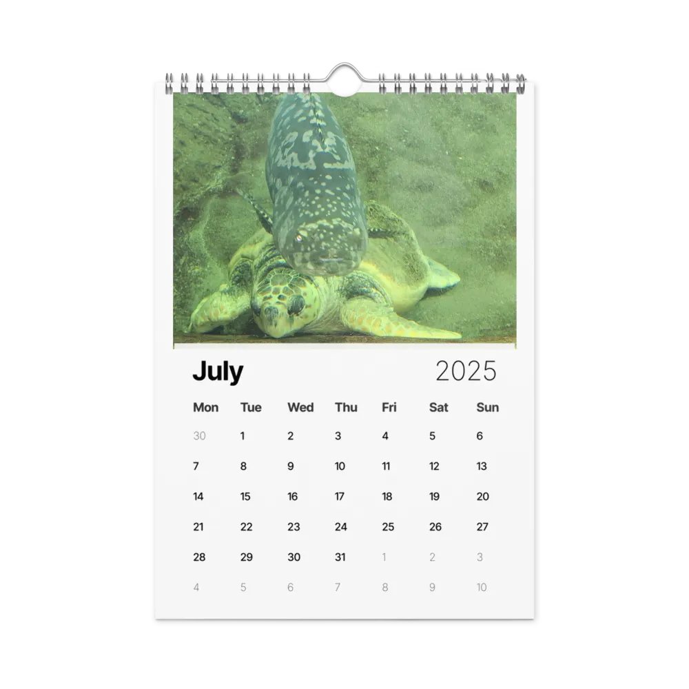 monthly year product image (7)