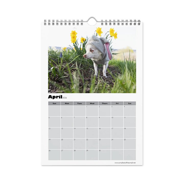 Smallest of the Small 2026 Calendar product image (1)