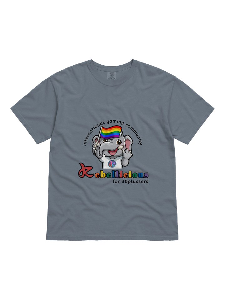 Comfort Colors Pride T-shirt product image (6)