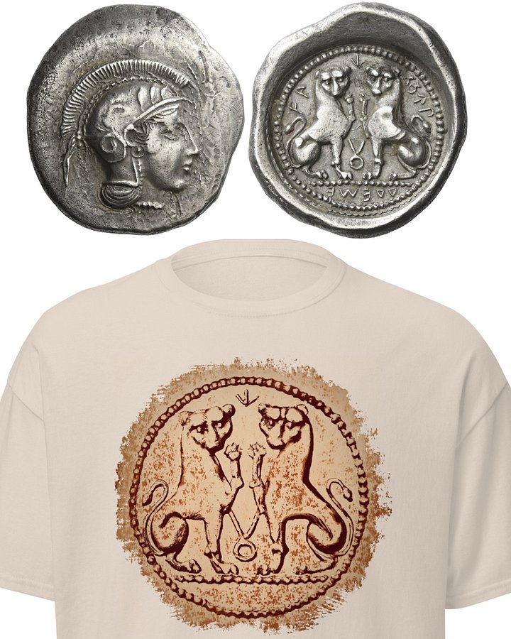 Ancient Greek Lycian (Modern Turkey) Two Panthers Coin Art 4th Century BC, T-Shirt product image (15)