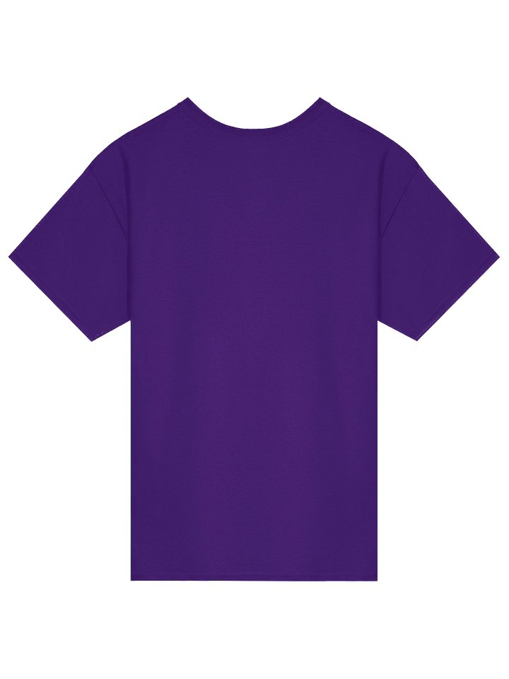 How I Got These Scars T-Shirt product image (13)