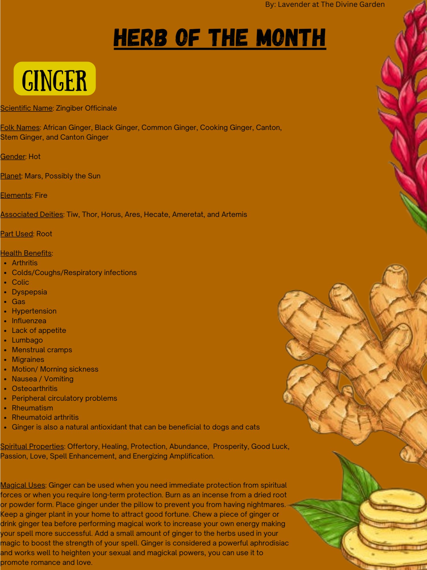 Ginger product image (1)