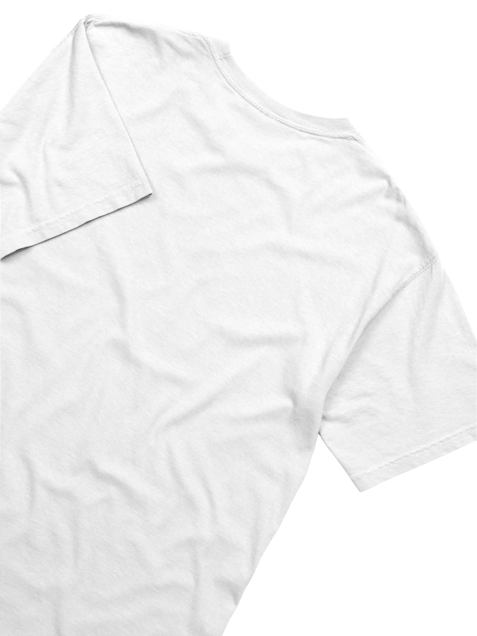 No Place Like Home Dog Tee product image (26)