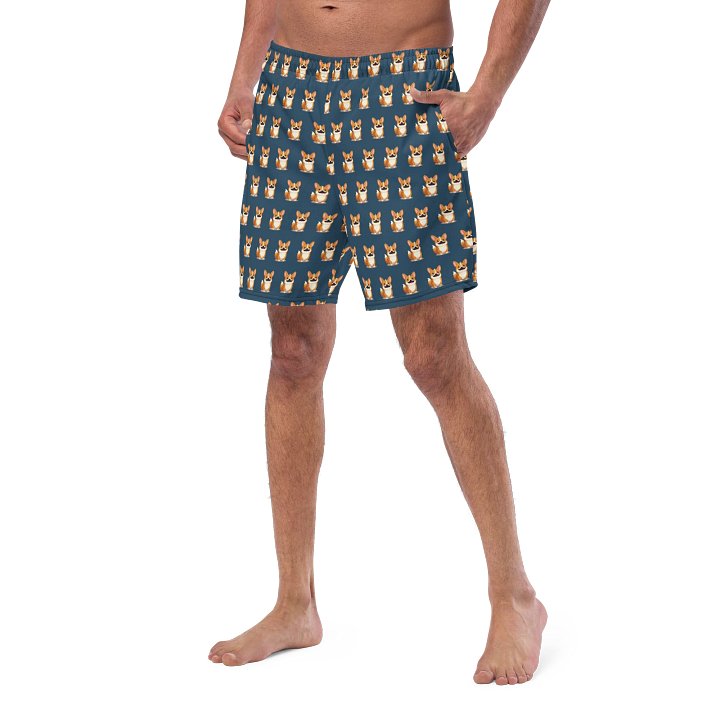 Torgi Swim Trunk Blue product image (2)