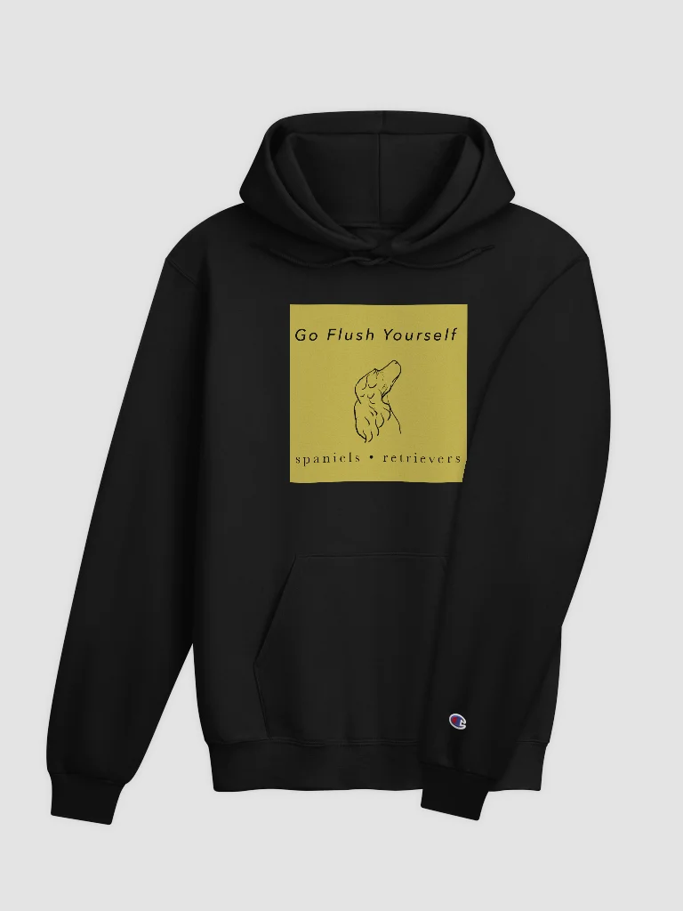 Alt GFY Black Champion Hoodie product image (4)