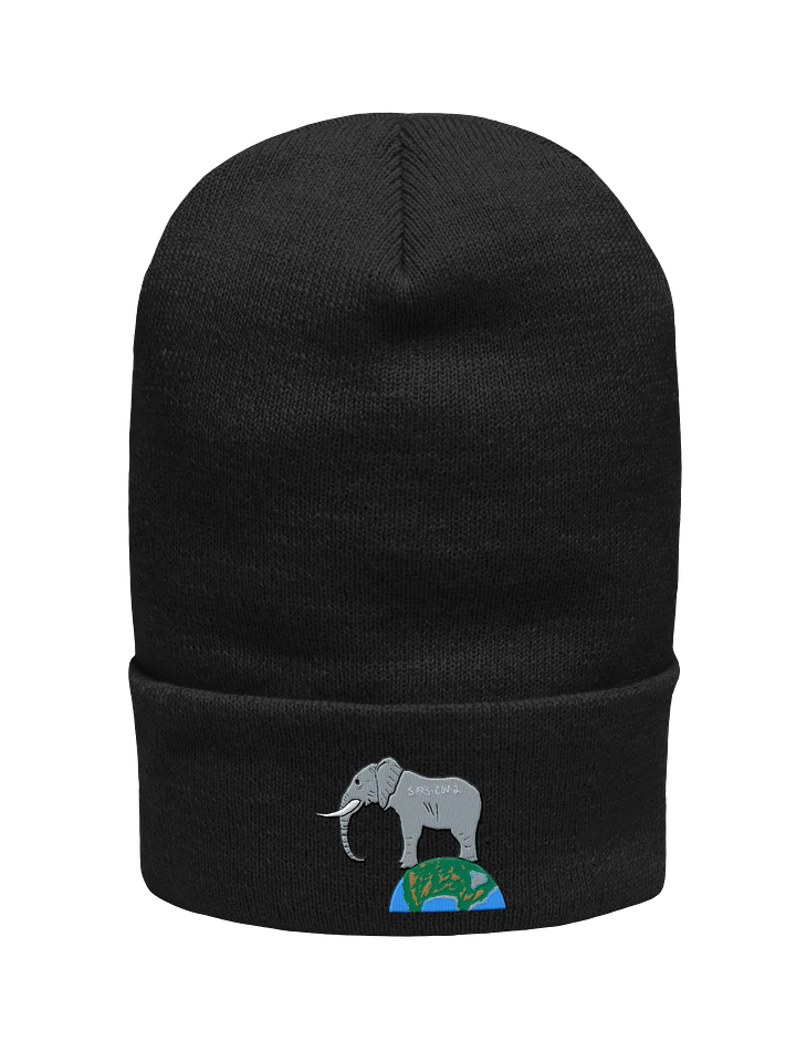 Elephant In The Room beanie (covid) product image (1)