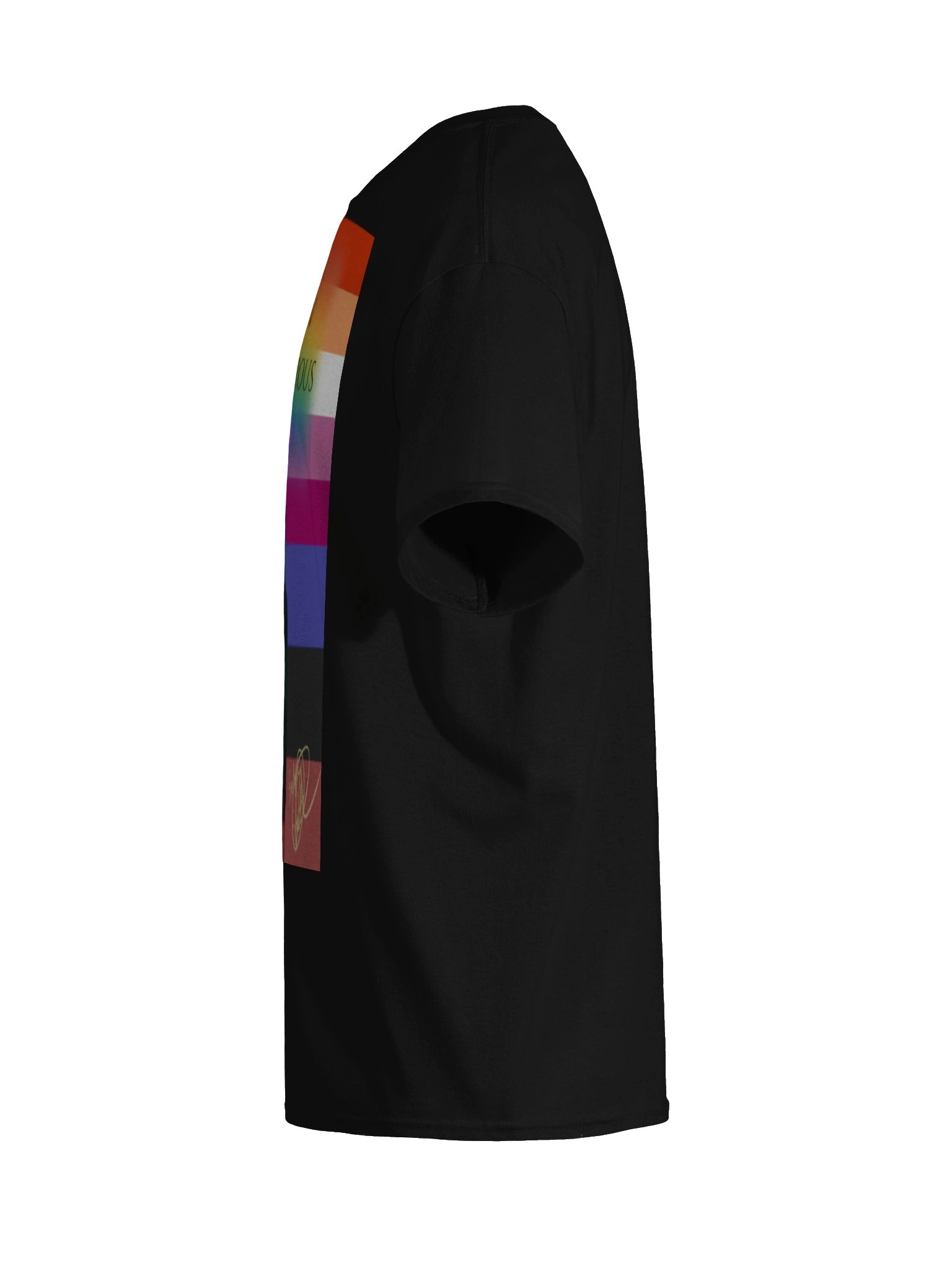 Lesbian Ambiamorous Pride Rainbow Tee product image (9)
