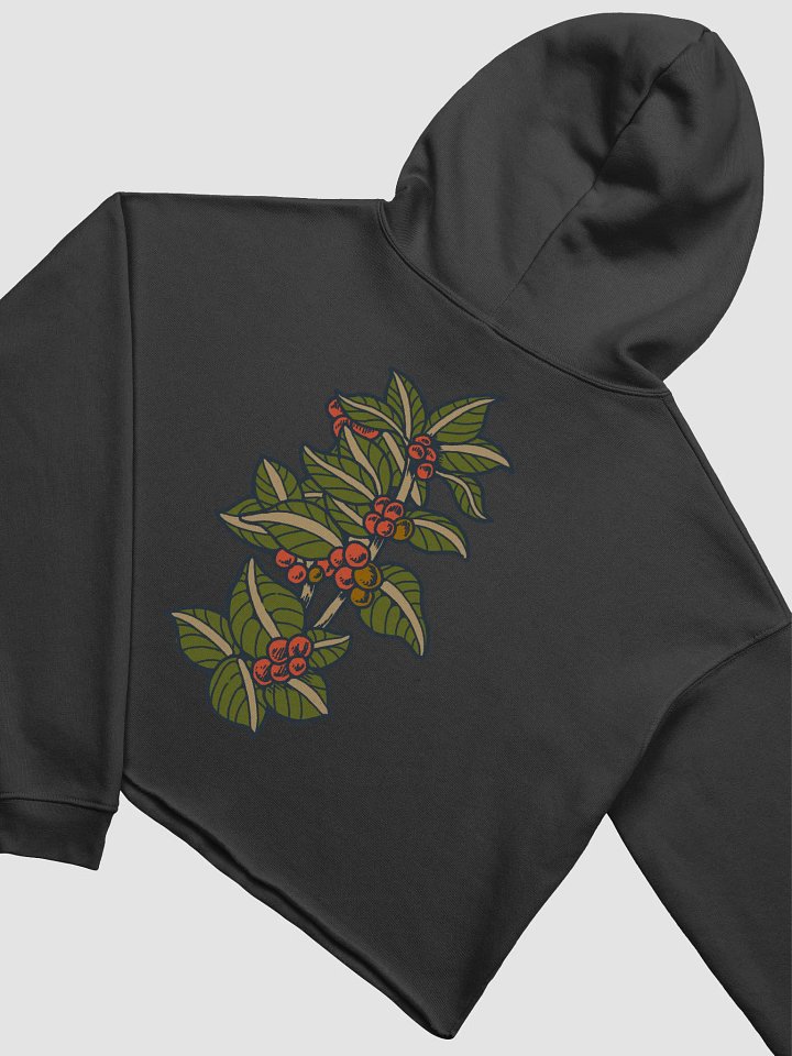 Double Double Crop Hoodie product image (2)