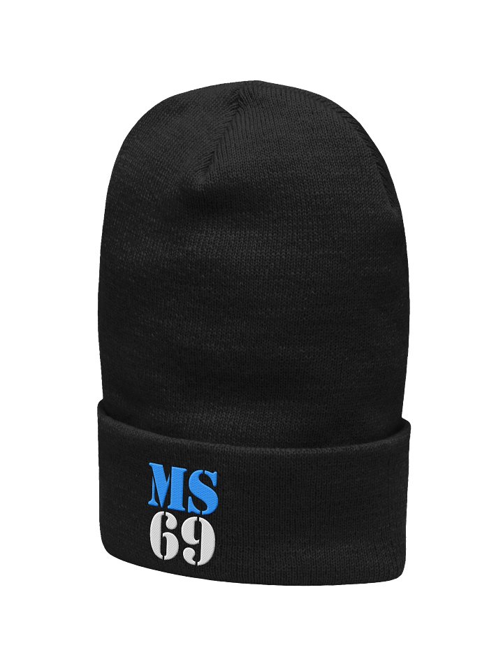 MS69 - Beanie Blue/White product image (2)