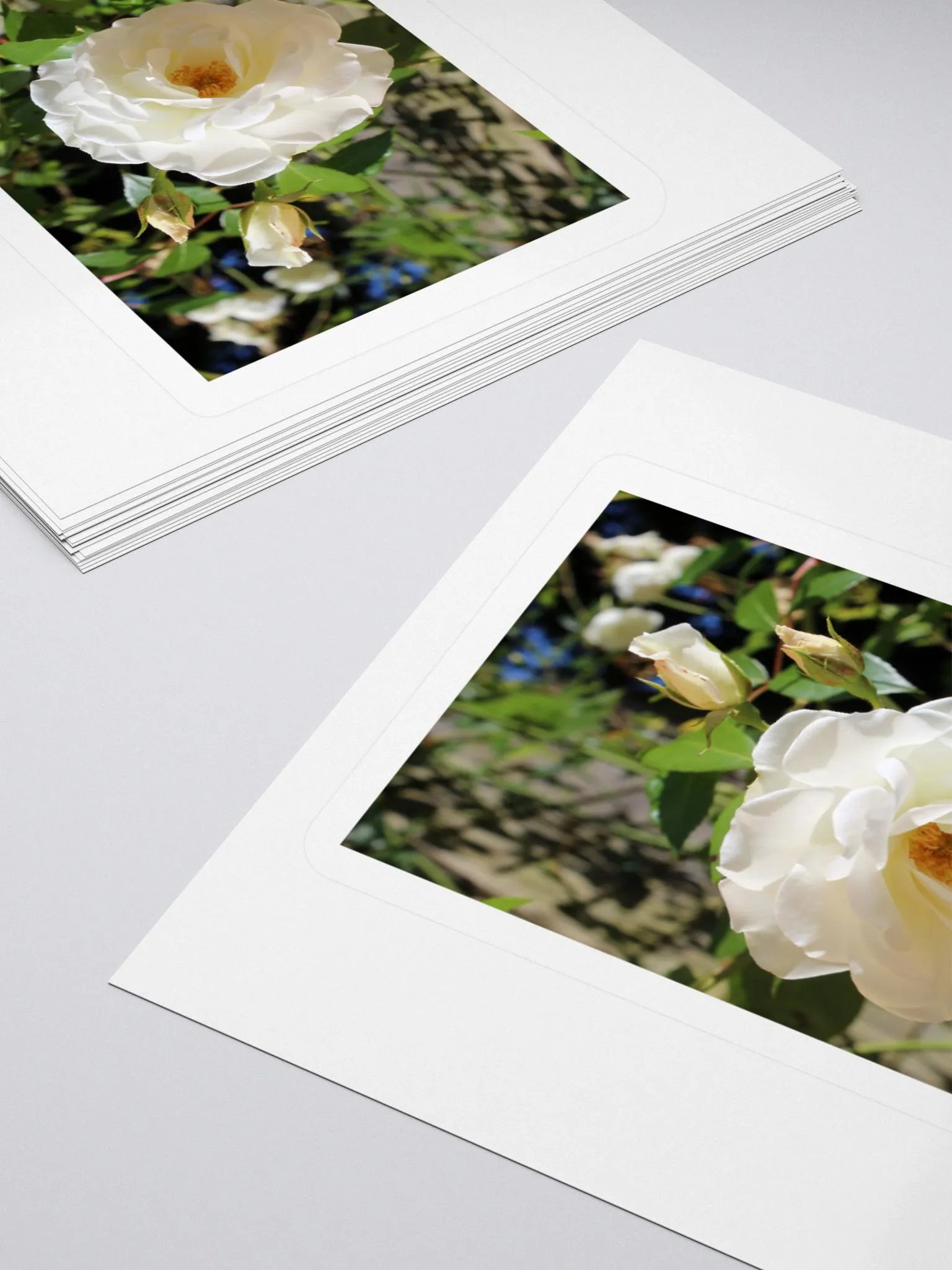 Bloom & Blossom Sticker Set product image (16)