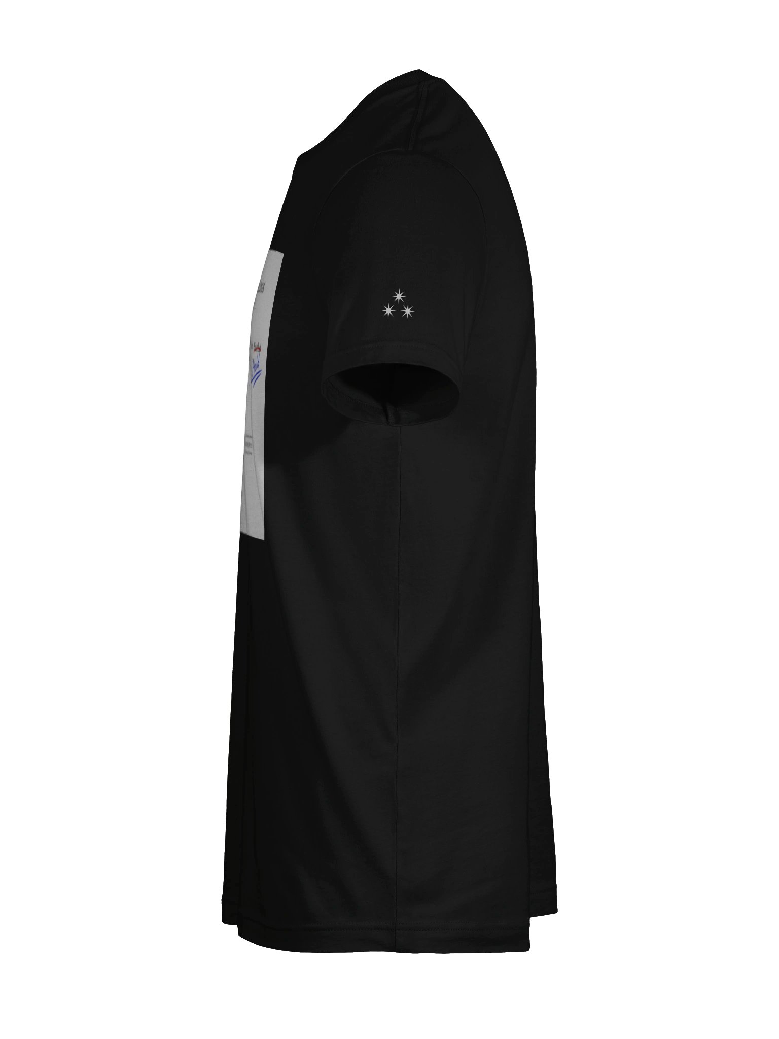 To Have and To Hold/Scold Tee product image (52)
