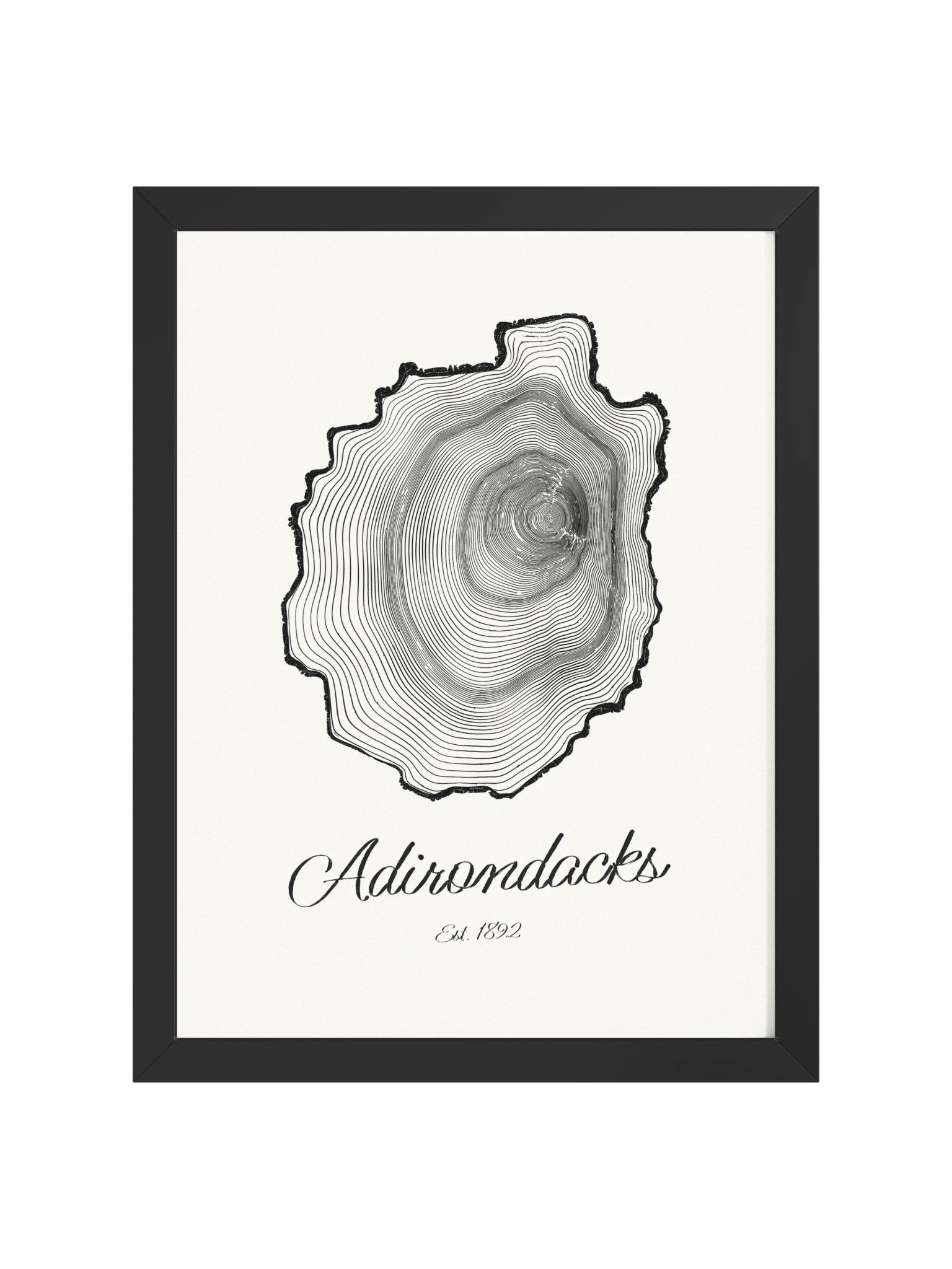 Adirondack Park Tree Ring Framed Print product image (6)