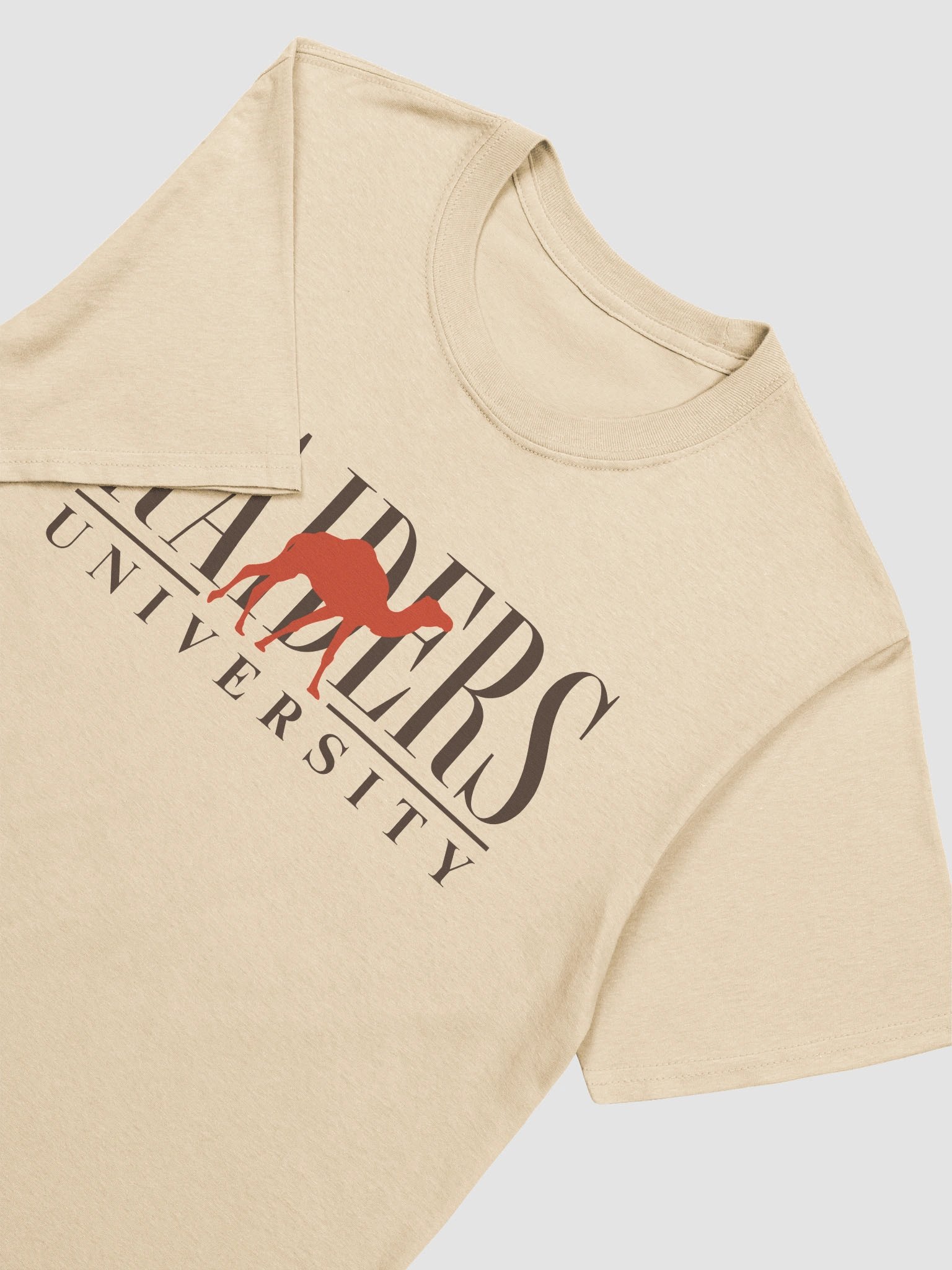 Raiders University Tee product image (4)