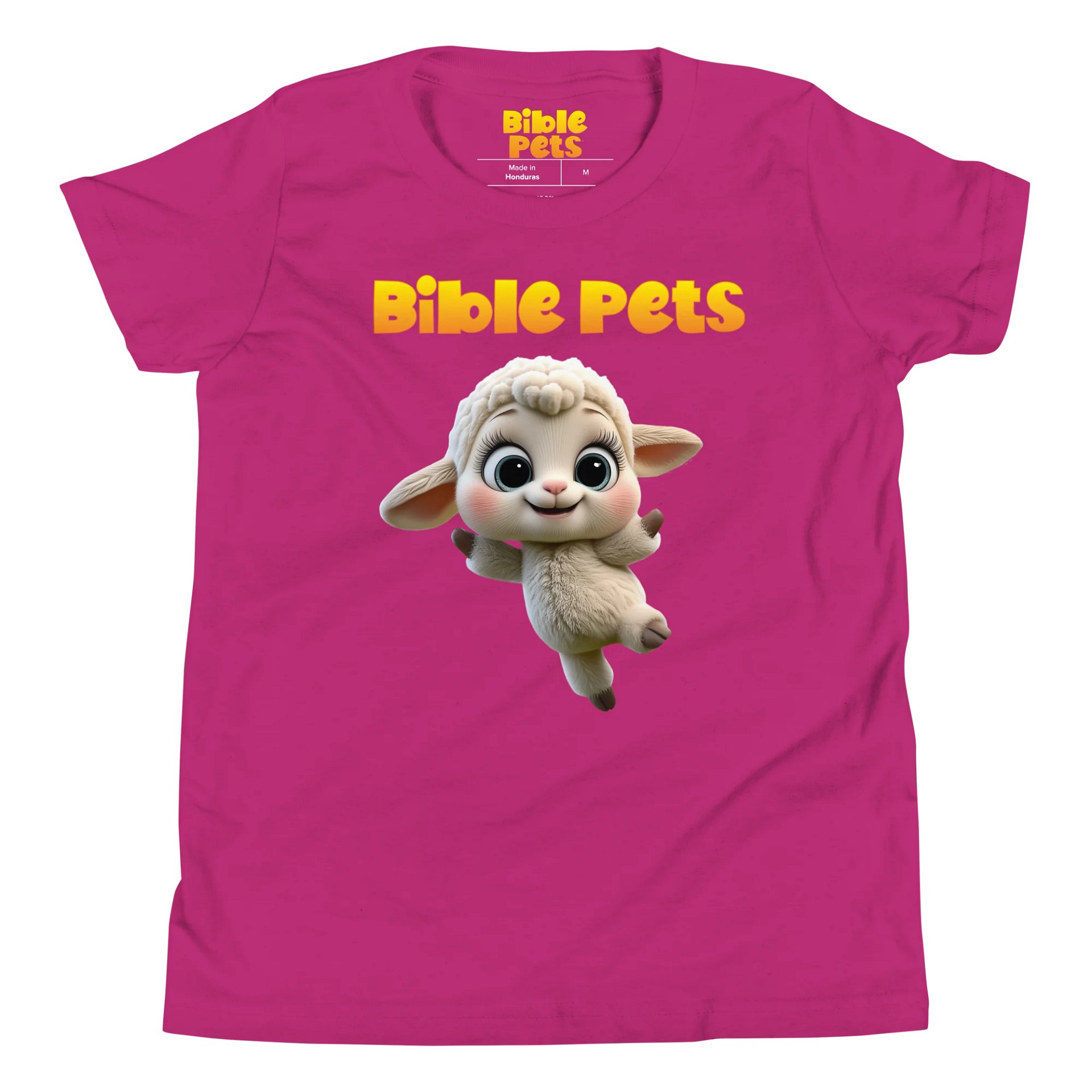 Tabby Bible Pets Youth T-Shirt product image (2)