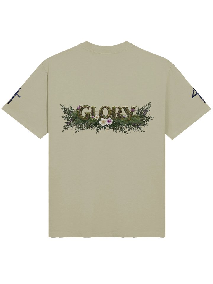 Raven Glory🐦‍⬛(Oversized) product image (2)