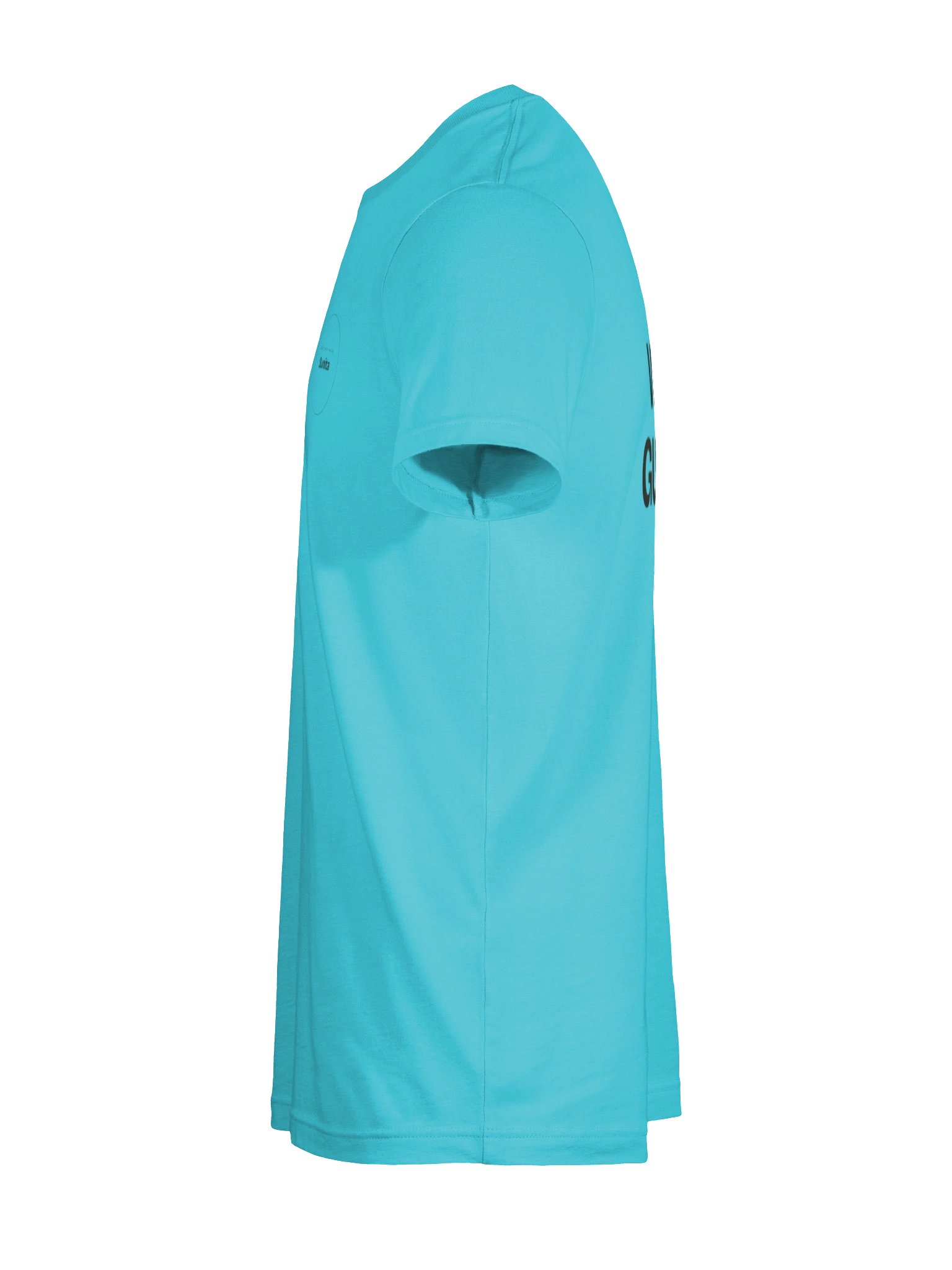 Well guided; of good conduct. product image (89)