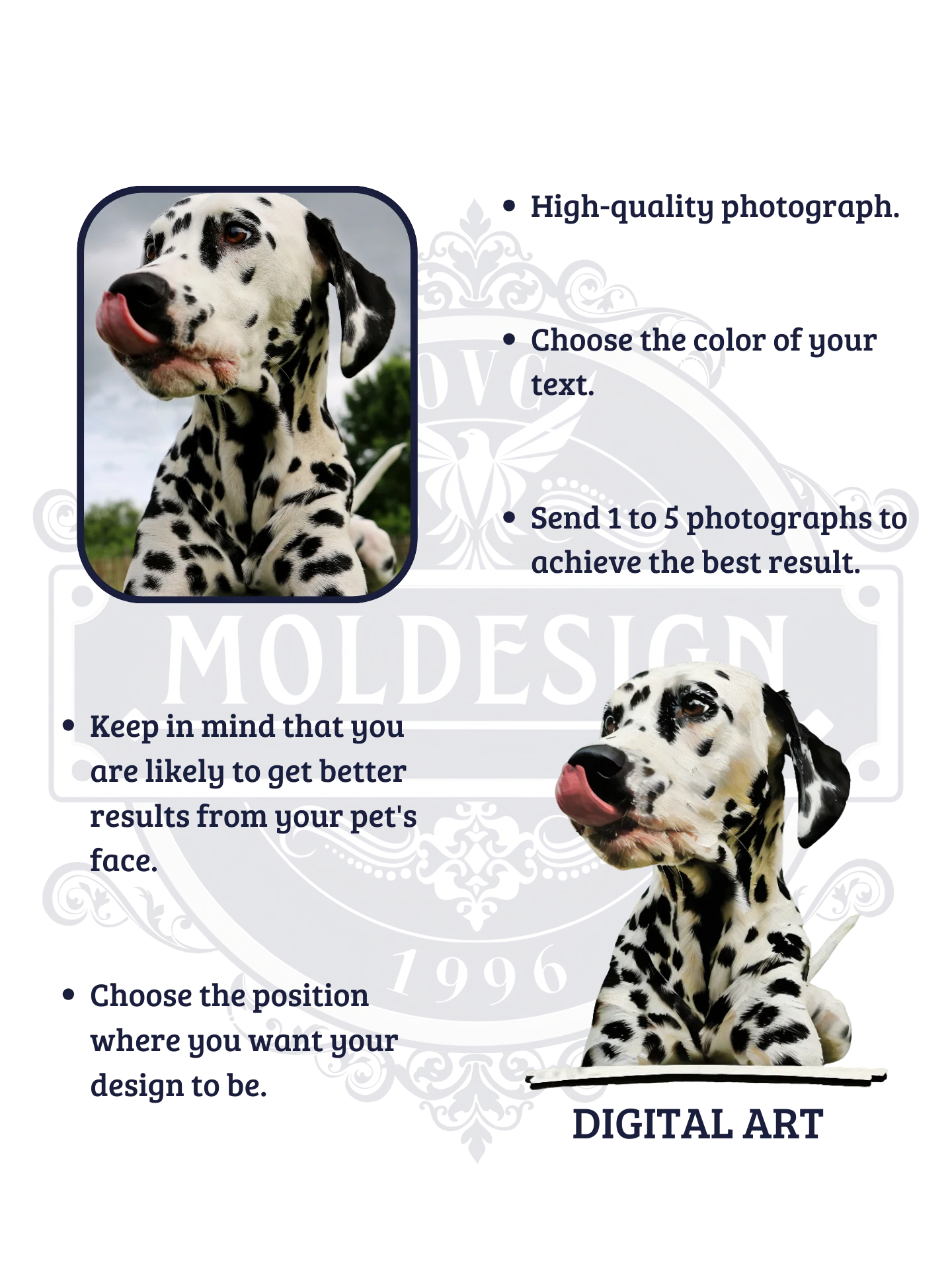 YOUR DALMATIAN! / T-SHIRT WITH PERSONALIZED NAME / DIGITAL ART III product image (5)