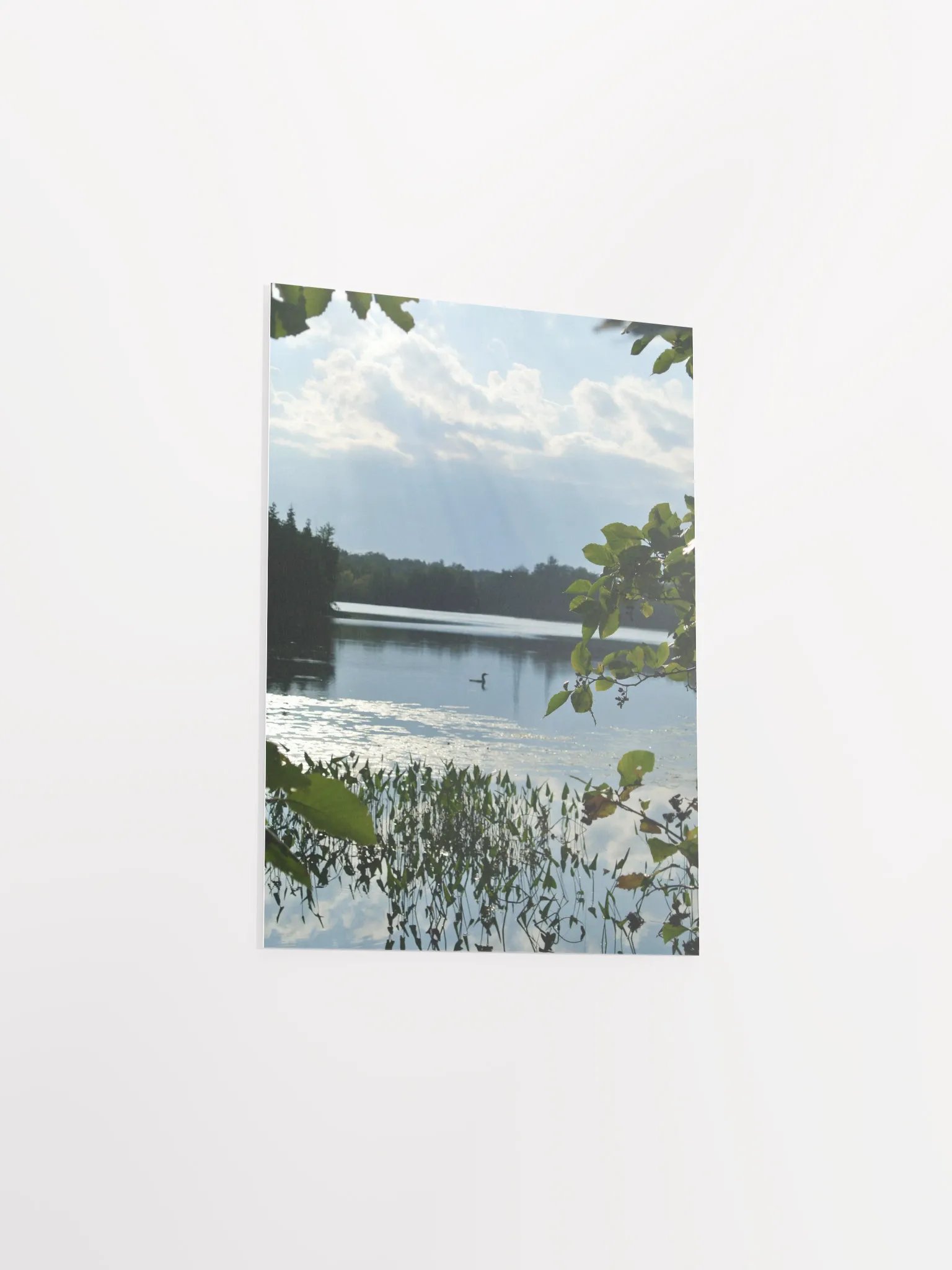 Don't get loonie product image (9)