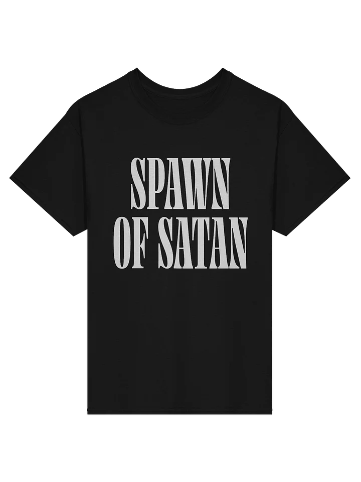 Spawn of Satan - Shirt product image (9)