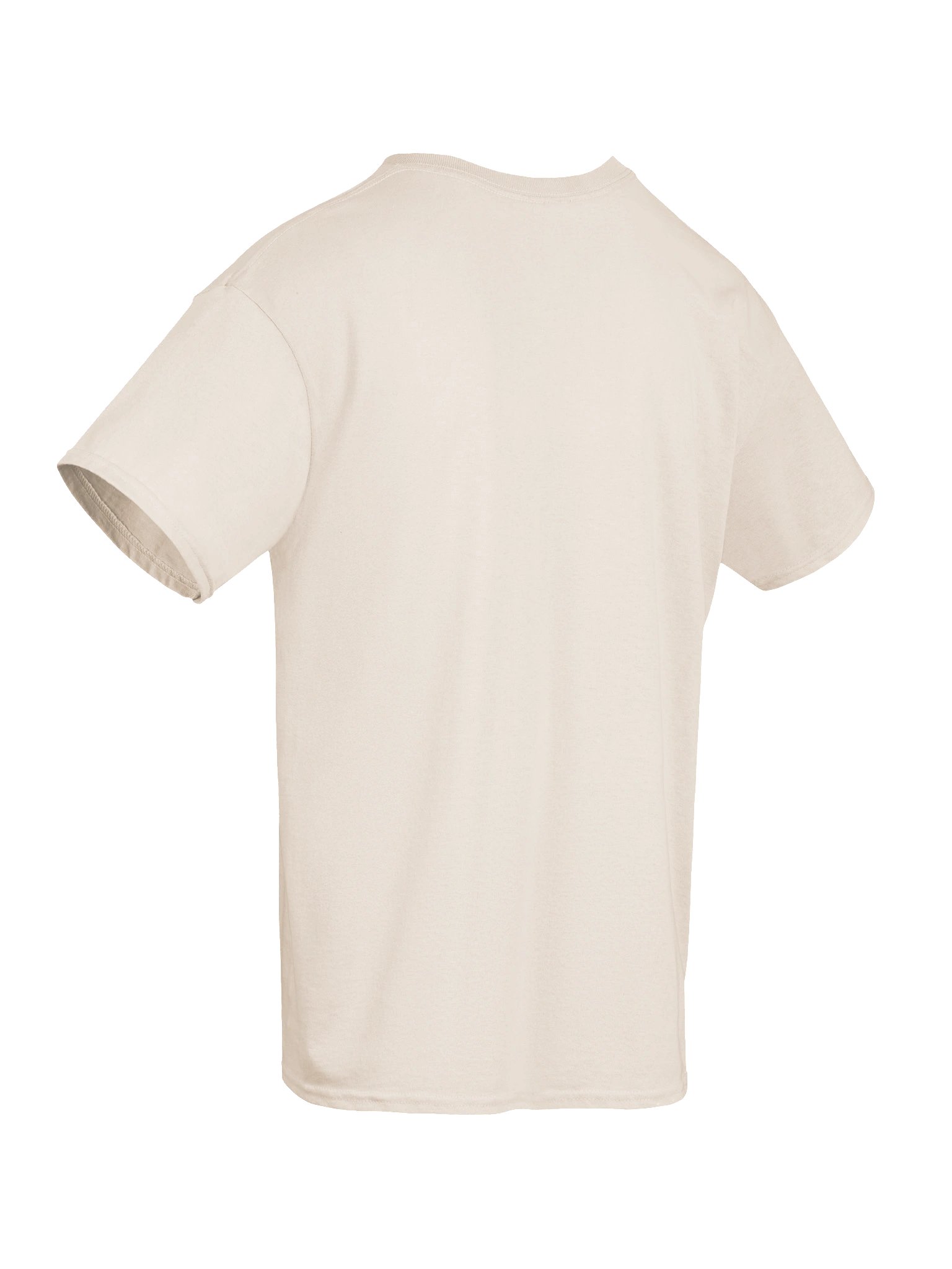 Faded Crest Heavyweight T Shirt product image (78)