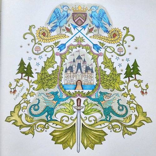 Took time to complete, bit by bit, but such a satisfying page to color ✨️

#enchantedforestcoloringbook #johannabasford #adul...