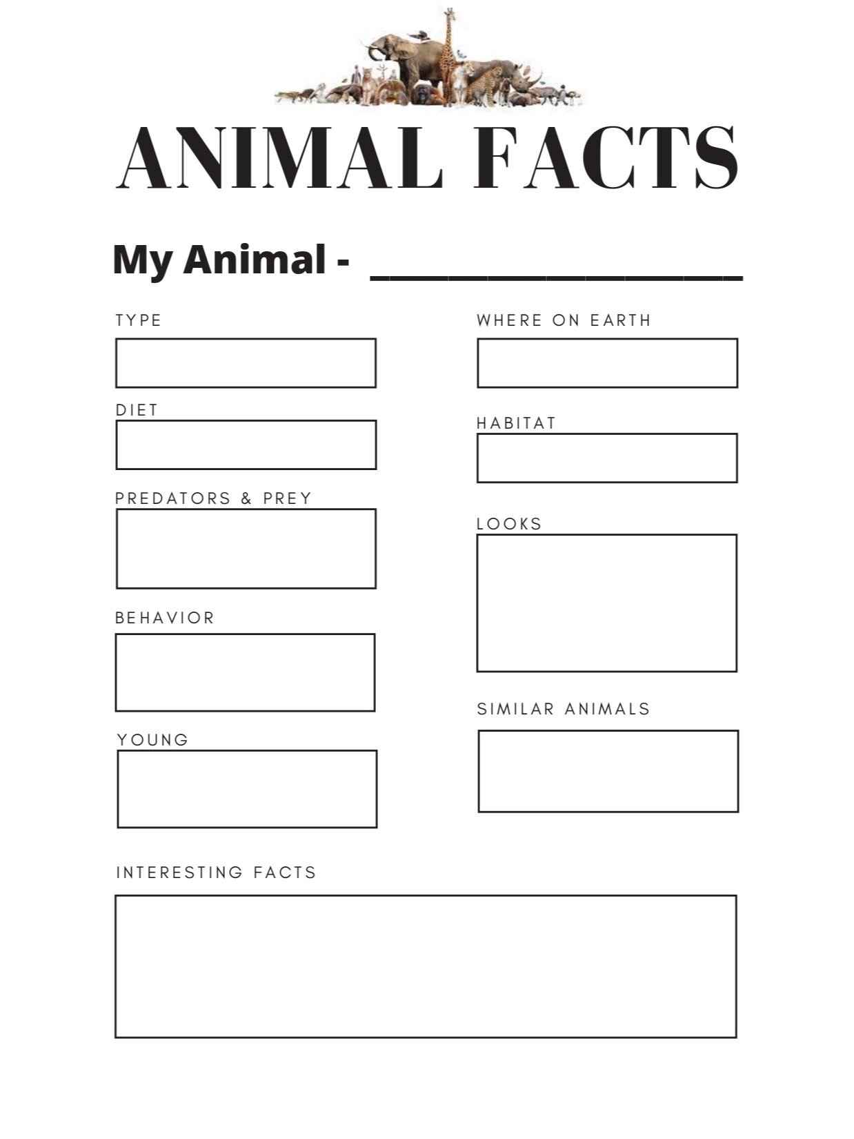 Commonly Confused Animals product image (4)