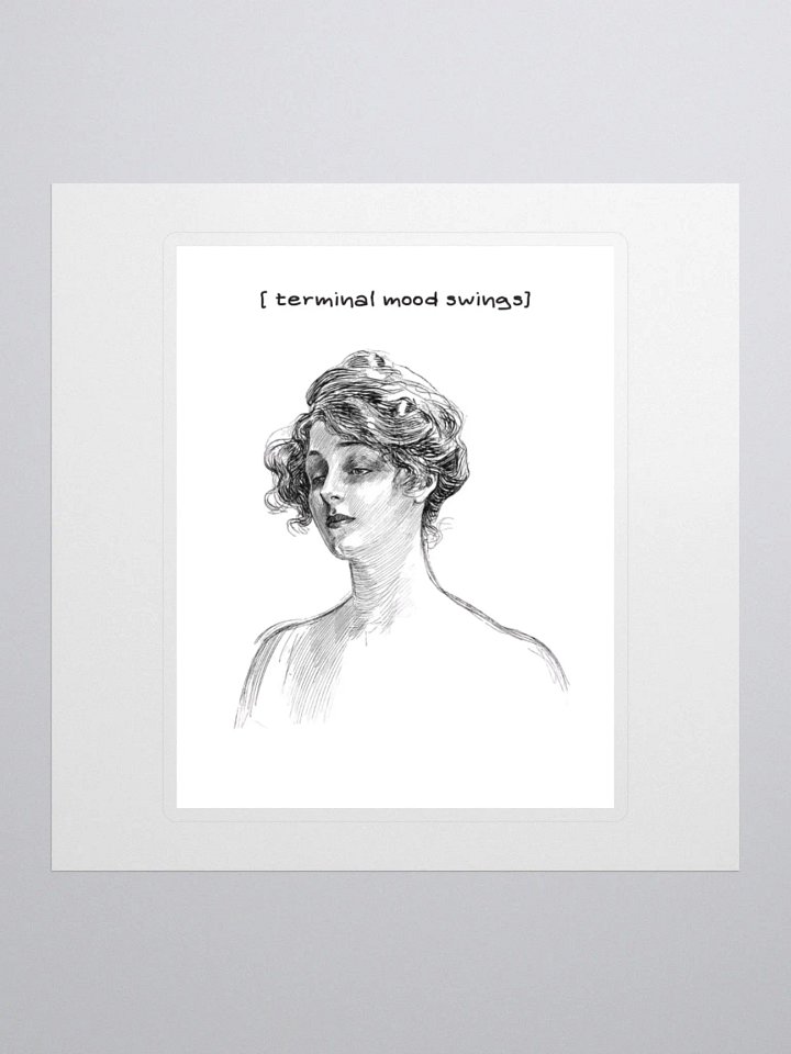 Terminal mood swings product image (3)