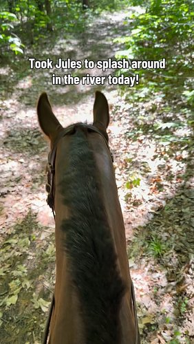 Best six year old around. A full week off and we were able to jump right back in! 
#horse #horsegirl #equestrian #lgbtequestr...