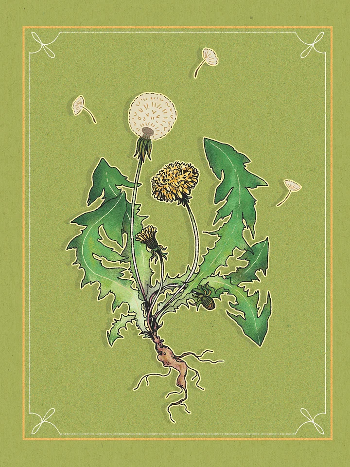 Botanical Prints product image (2)