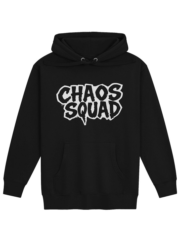 Big Logo Hooded Sweatshirt product image (1)