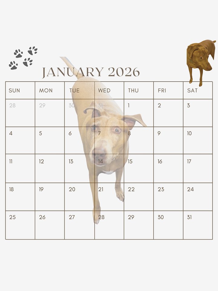 Belle 2026 Calendar A 8.5 x 11 (Download) product image (2)