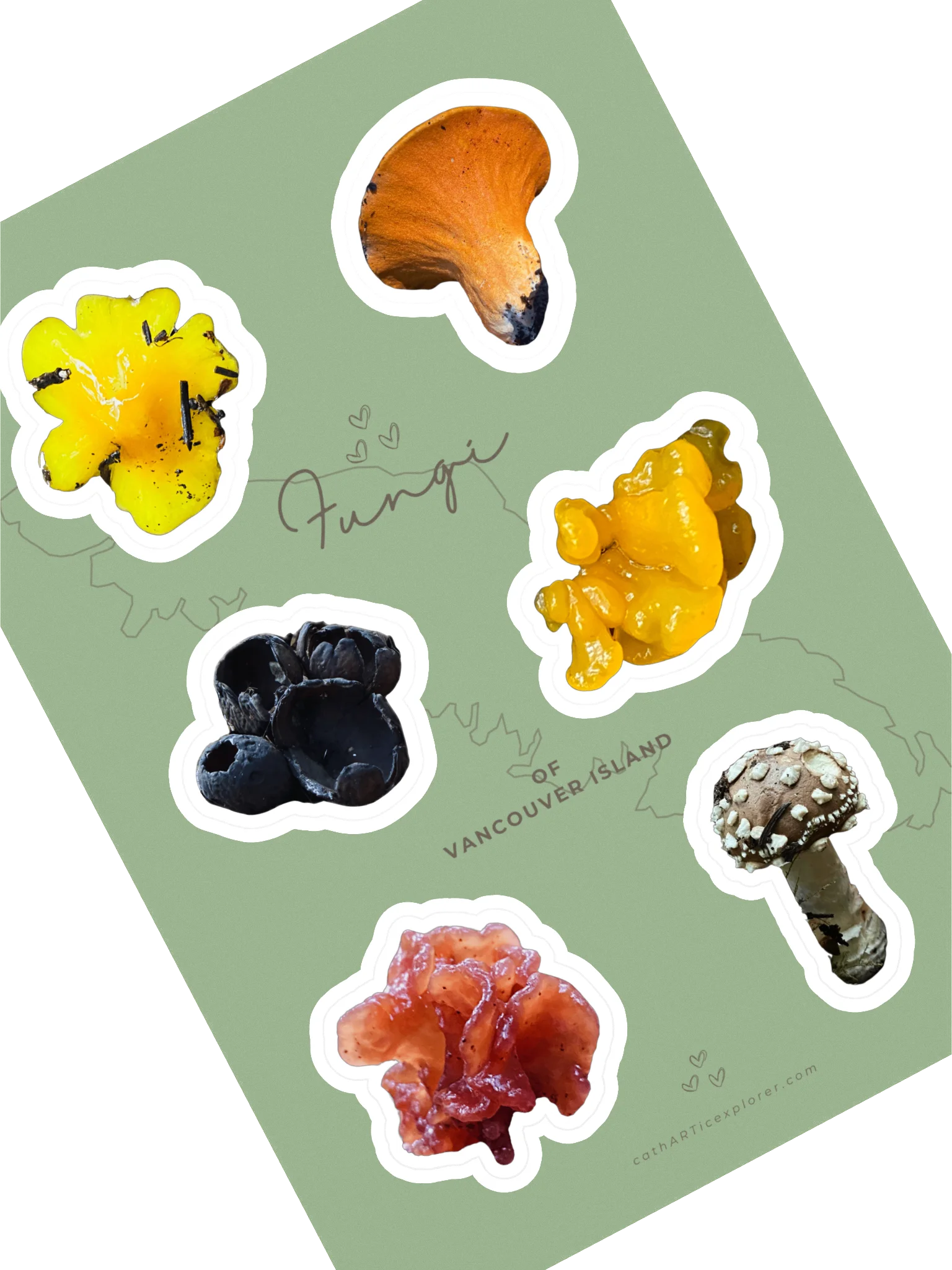 Fungi Sticker Sheet 1 product image (2)