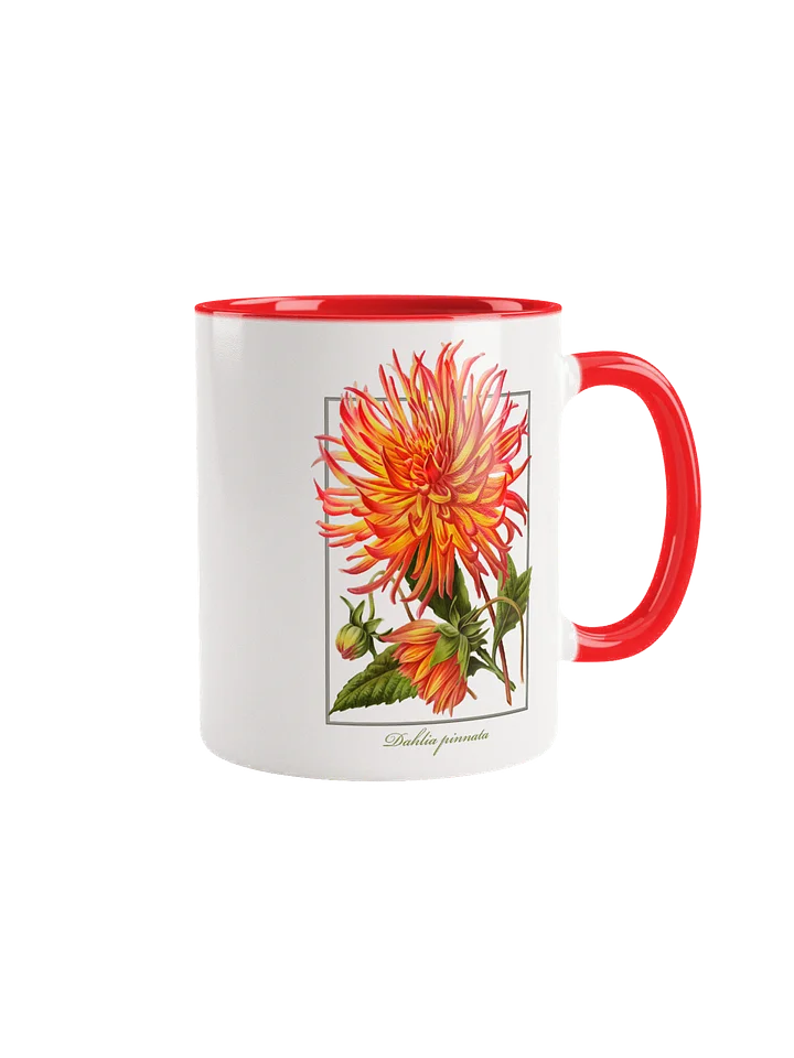 Cactus Dahlia (Dahlia pinnata) Flower - ceramic mug product image (1)