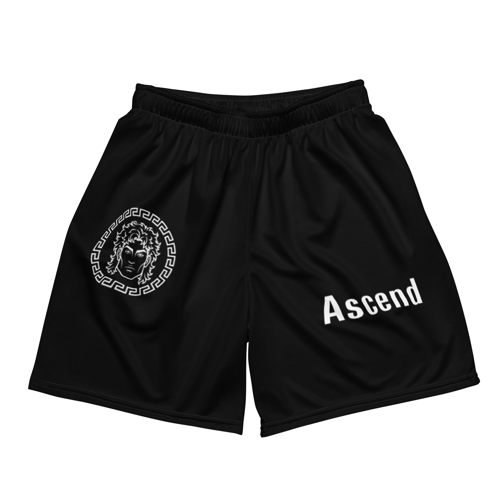 Ascend Shorts product image (2)