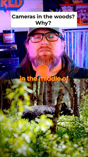 Why are surveillance cameras showing up in the middle of the woods? 🌲📷 I get using technology to solve crimes, but I also thi...
