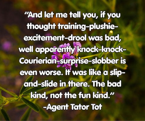 Day 316: 429 words. Agent Tator Tot has some of the most...interesting (yeah, sure) quotes. Here is something I wrote today.
